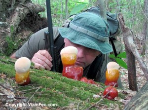 Tactical Fungi